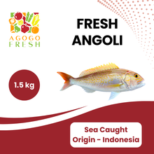 将图片加载到图库查看器,Fresh Sea Caught Angoli (1 - 1.5kg)