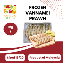 将图片加载到图库查看器,Frozen Vannamei Prawn (1kg+/-)