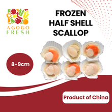 将图片加载到图库查看器,Frozen Half Shell Scallop (7 - 9pcs)