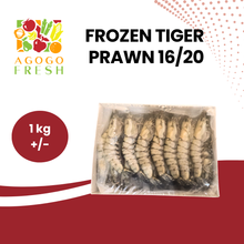 将图片加载到图库查看器,Frozen Tiger Prawn 16/20 (1 kg+/-)