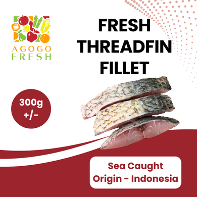 Fresh Threadfin Fillet (300g)