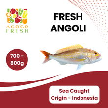 将图片加载到图库查看器，Fresh Angoli (700-800g)