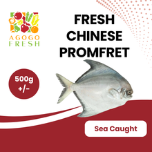 将图片加载到图库查看器，Fresh Chinese Promfret (500g+/-)