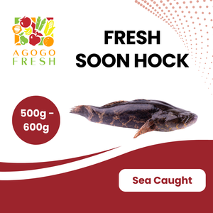 Fresh Soon Hock (500 - 600g)