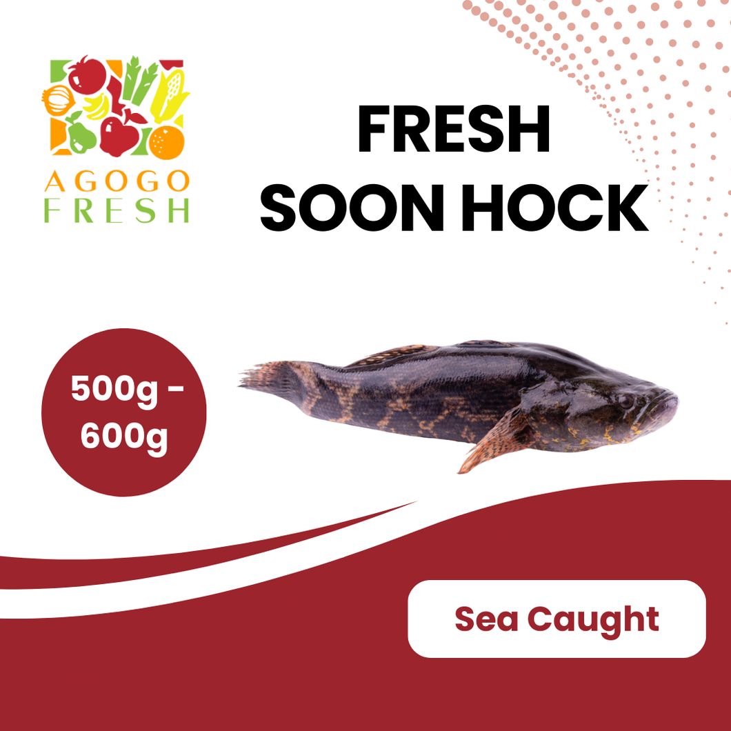 Fresh Soon Hock (500 - 600g)