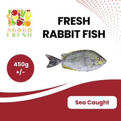 Fresh Rabbit Fish (450g+/-)