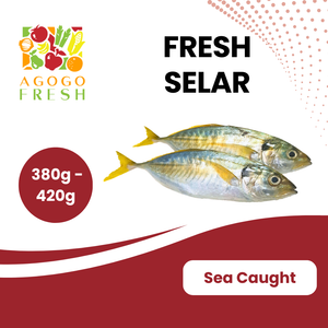 Fresh Selar (380-420g, 2pieces)