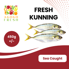 将图片加载到图库查看器，Fresh Kunning Fish (450g+/-)