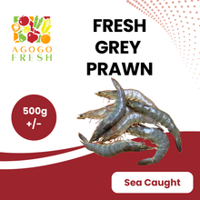 将图片加载到图库查看器，Grey Prawn (500g+/-)