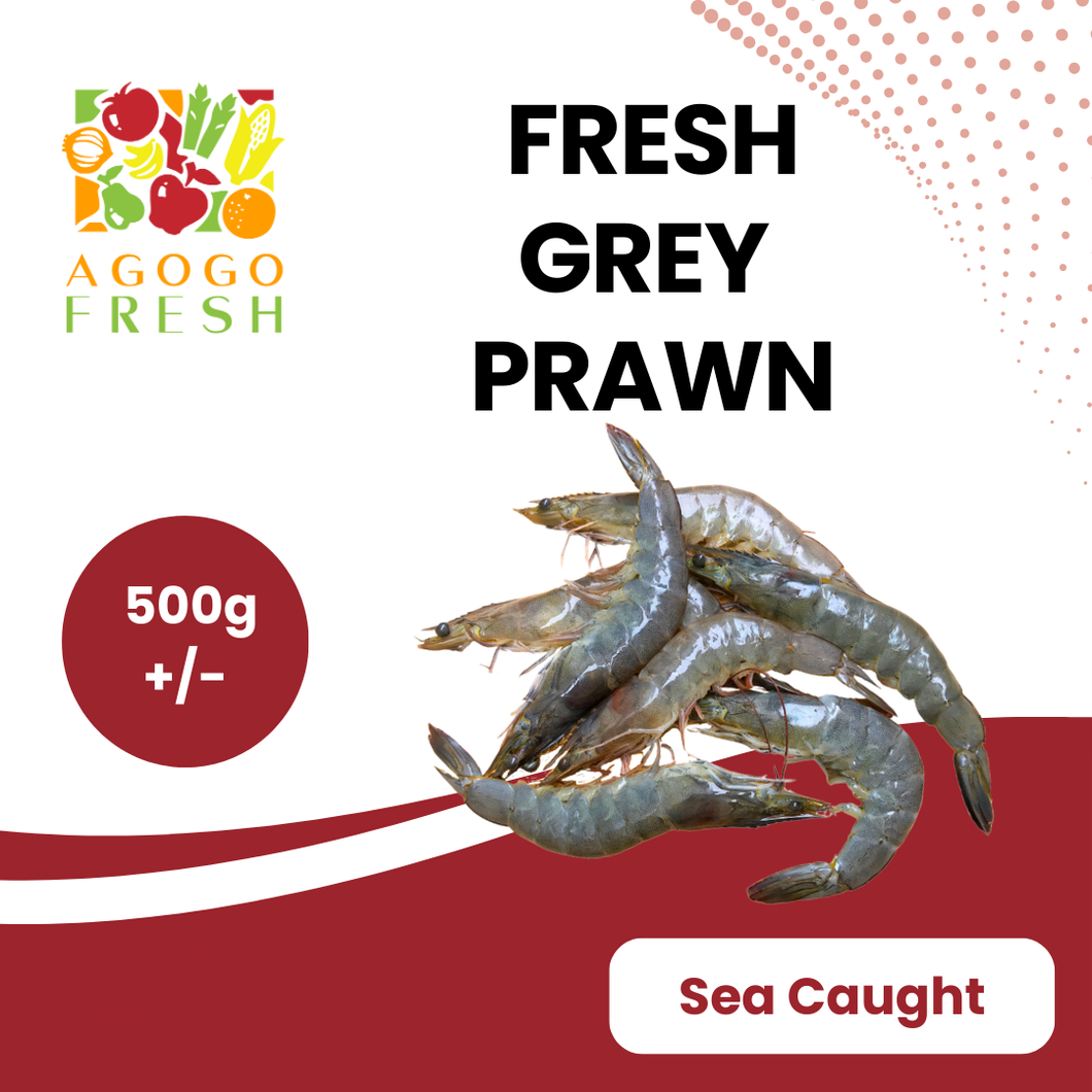 Grey Prawn (500g+/-)