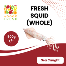 将图片加载到图库查看器，Fresh squid whole (500g+/-)