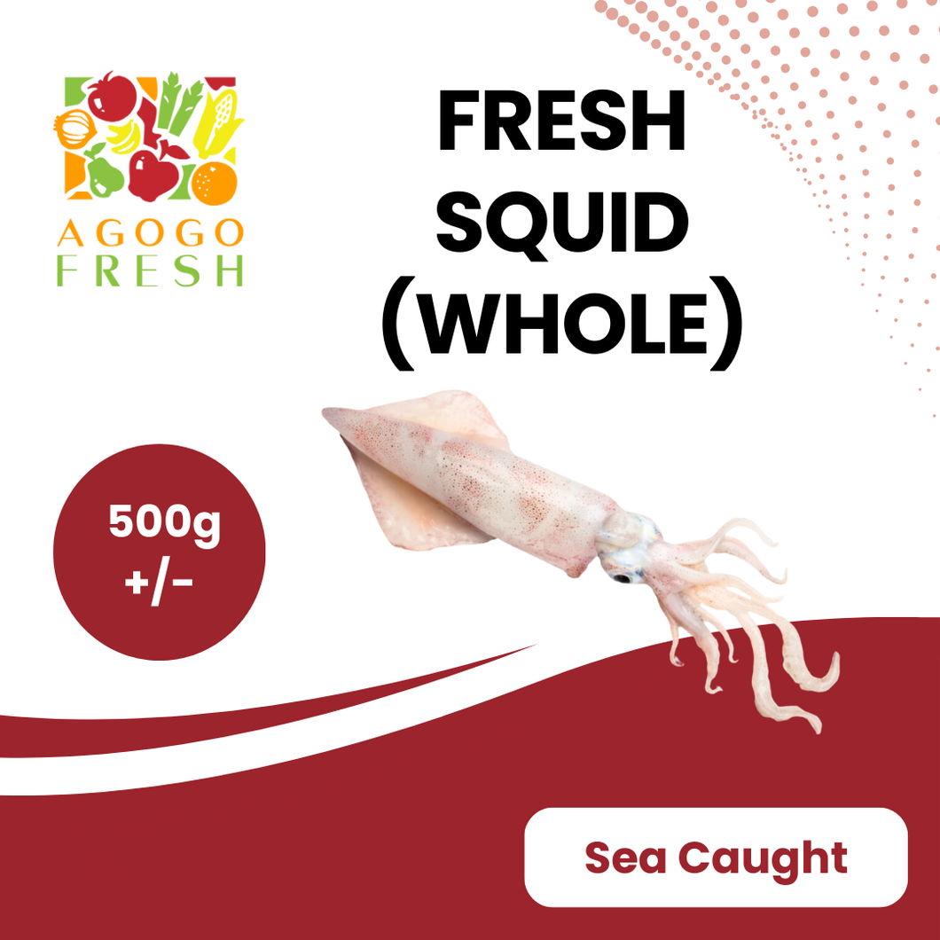 Fresh squid whole (500g+/-)