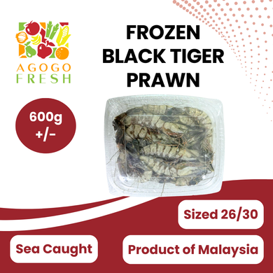 Frozen Black Tiger Prawn (600g+/_)