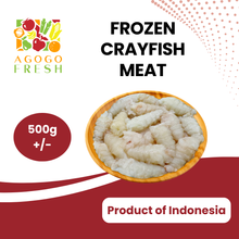 将图片加载到图库查看器，Product: Frozen Crayfish/Slipper Lobster Meat (500g+/-)