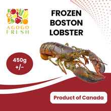 将图片加载到图库查看器，Frozen Boston Lobster (450g +/-)