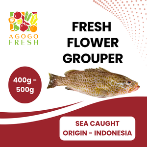 Fresh Flower Grouper (400 - 500g)