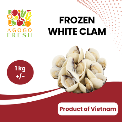 Frozen White Clam (1kg +/-)