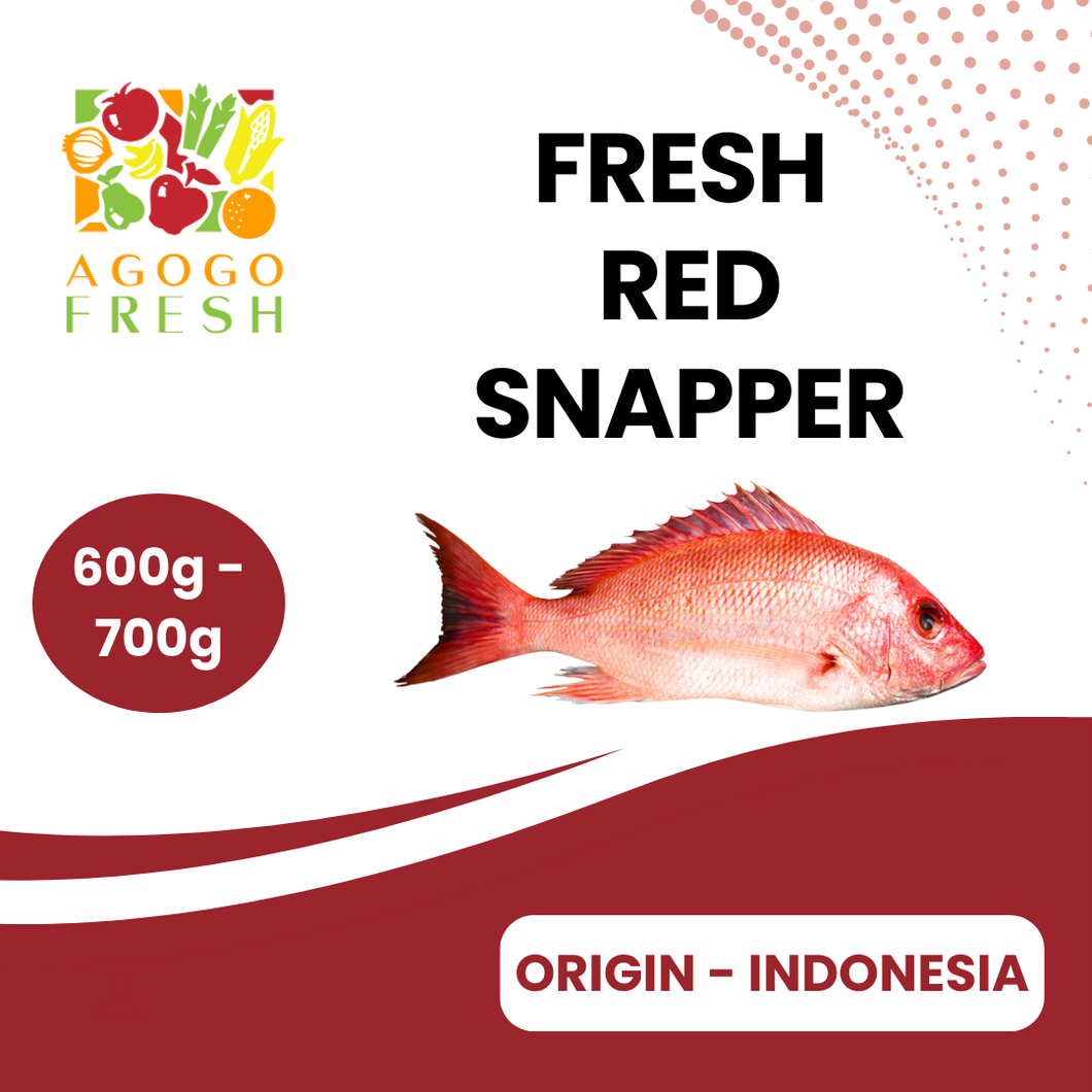 Fresh Red Snapper (600 - 700g)