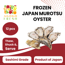 将图片加载到图库查看器，Frozen Japan Murotsu Oyster (Sashimi Grade)