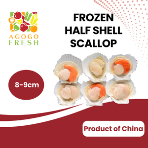 Frozen Half Shell Scallop (7 - 9pcs)