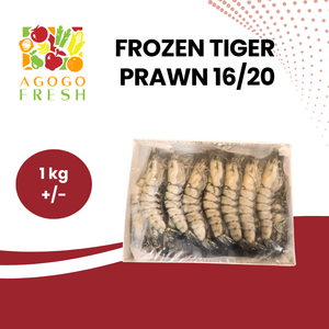 Frozen Tiger Prawn 16/20 (1 kg+/-)