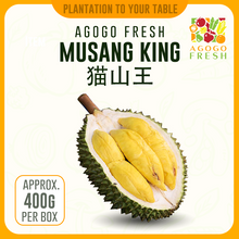 Load image into Gallery viewer, Frozen Durian Musang King (MSW) 猫山王