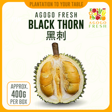 Load image into Gallery viewer, Durian Black Thorn 黑刺