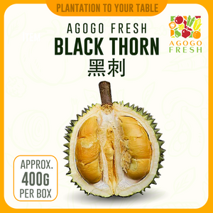 Durian Black Thorn 黑刺