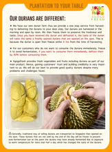 将图片加载到图库查看器，Frozen Durian Musang King (MSW) 猫山王