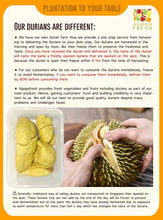 Load image into Gallery viewer, Frozen Durian-D13