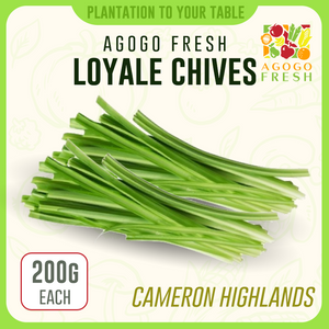 Loyale Chives