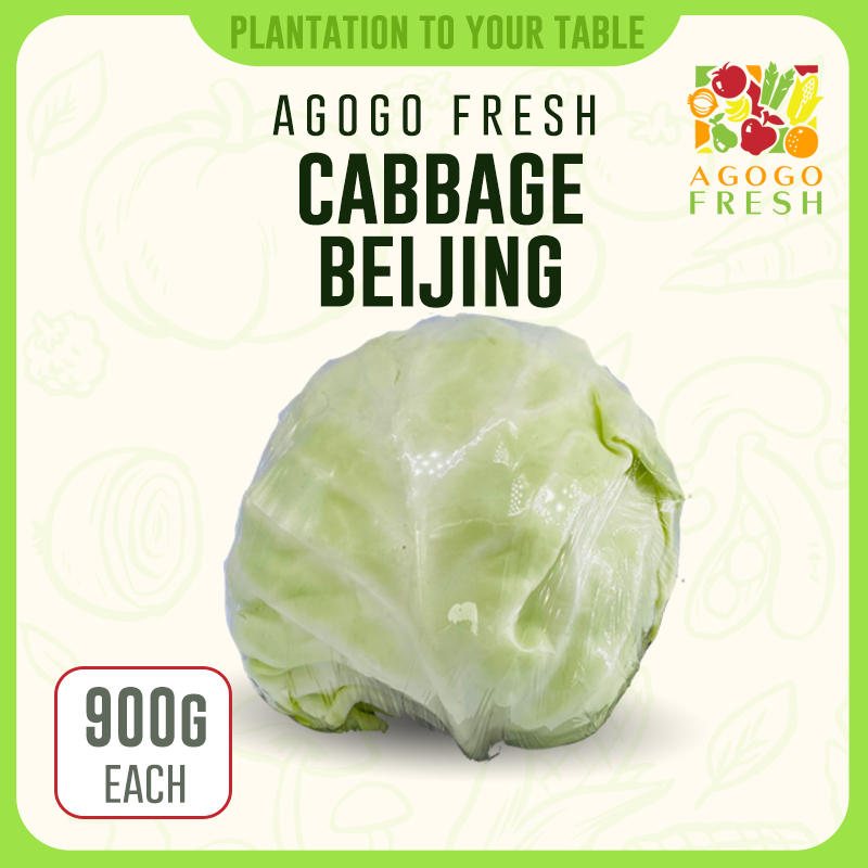 Cabbage Beijing