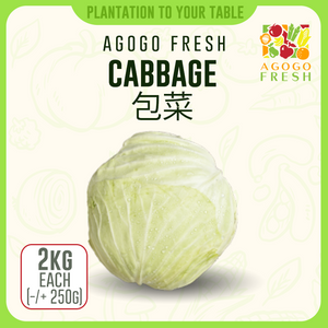 Cabbage 包菜 (2kg)