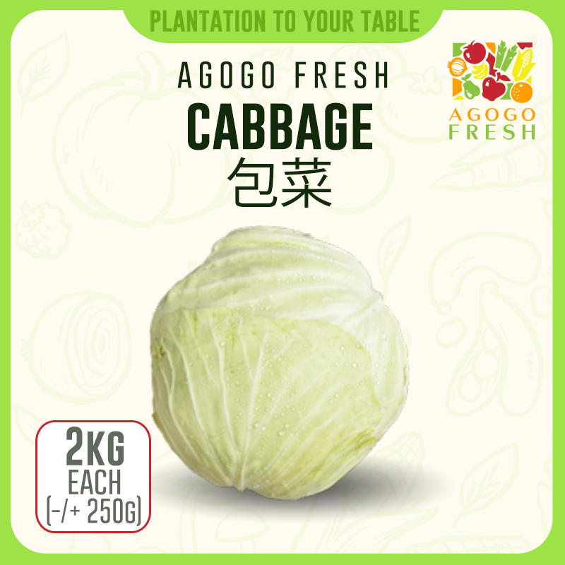 Cabbage 包菜 (2kg)