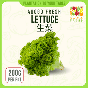 F04 Lettuce 生菜