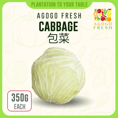 F07 Cabbage 包菜