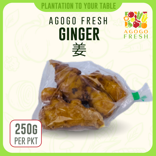 F25 Ginger 姜