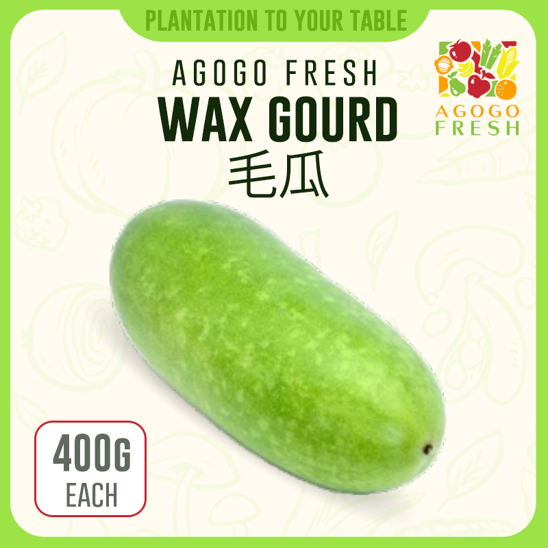 F28 Wax Gourd 毛瓜