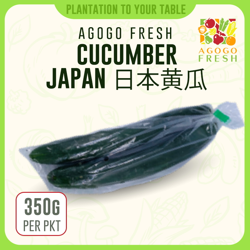 F29 Cucumber Japan 日本黄瓜