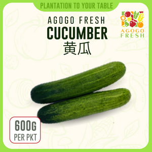 F30 Cucumber 黄瓜