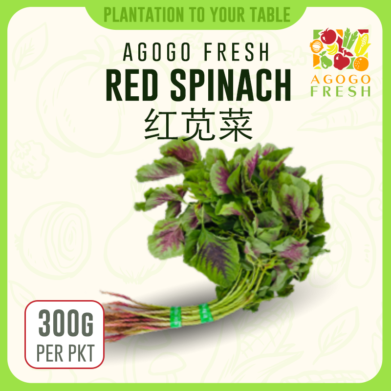 F38 Red Spinach 红苋菜