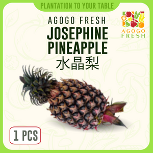 F44 Josephine Pineapple 水晶梨
