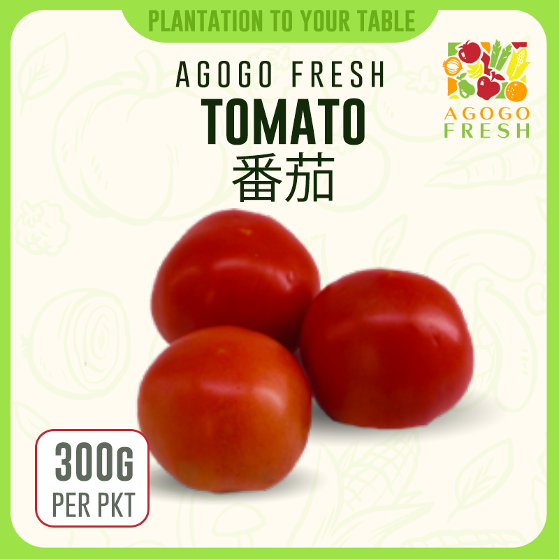 F46 Tomato 番茄
