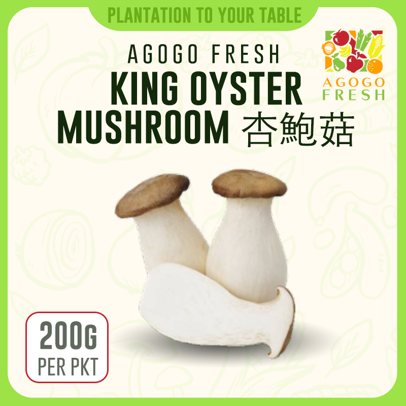 F58 King Oyster Mushroom  杏鮑菇