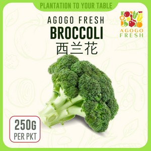 F59 Broccoli 西兰花