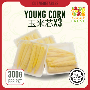 D39 Young Corn 玉米芯 X3
