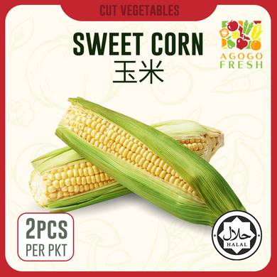D40 Corn 玉米