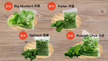 Load image into Gallery viewer, 5 Packs Cut Vegetables with Vacuum Packing