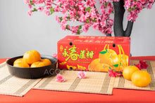 Load image into Gallery viewer, Yong Chun Honey Mandarin Orange